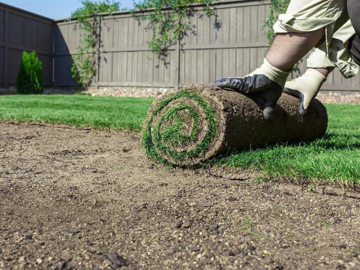 Sublimez votre espace extérieur avec les services d’engazonnement de Terrassement R.L 